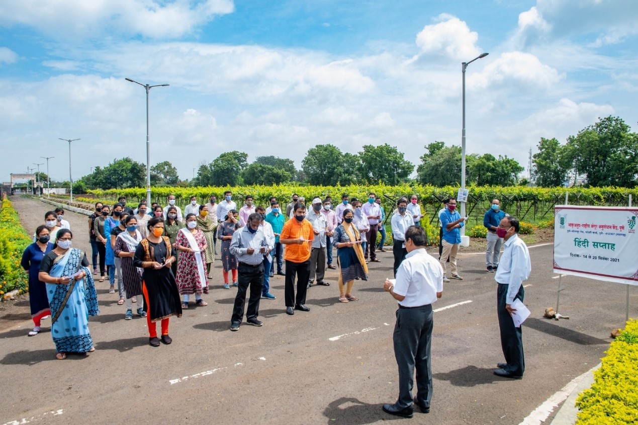 hindi saptah photo1