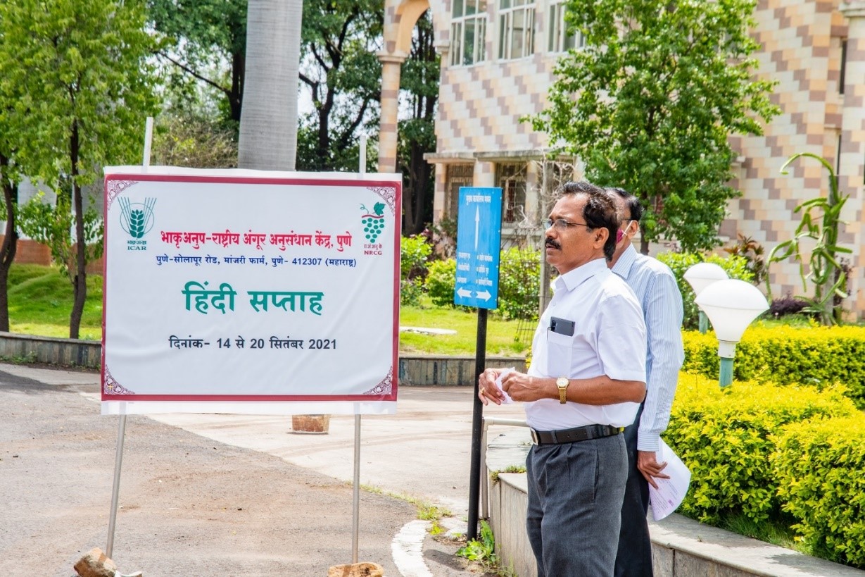 hindi saptah photo2